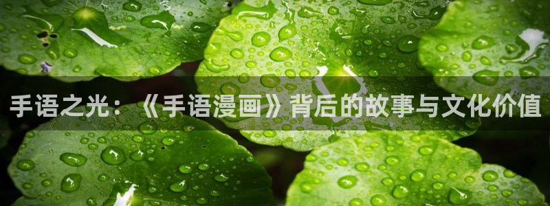 拷贝漫画408怎么解决：手语之光：《手语漫画》背后的故事与文化价值