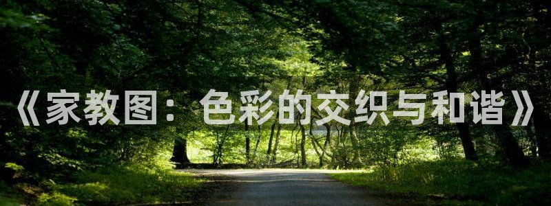拷贝漫画软件：《家教图：色彩的交织与和谐》